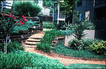 Mulch as walkway
